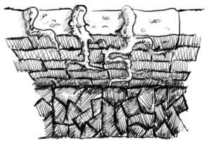 Wall with Vines