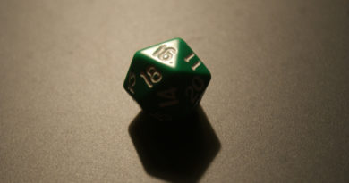 D20